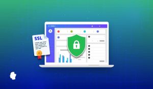 Read more about the article What Is an SSL Certificate and Why Is It Important for Your Business?